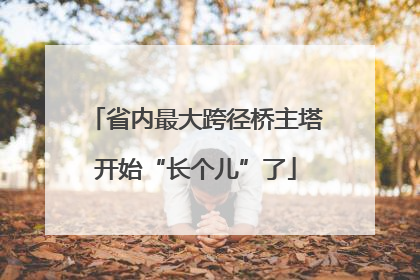 省内最大跨径桥主塔开始“长个儿”了