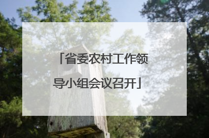 省委农村工作领导小组会议召开