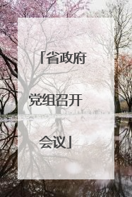 省政府党组召开会议