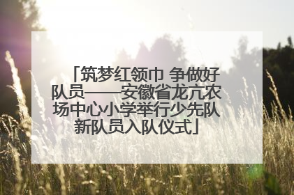 筑梦红领巾 争做好队员——安徽省龙亢农场中心小学举行少先队新队员入队仪式