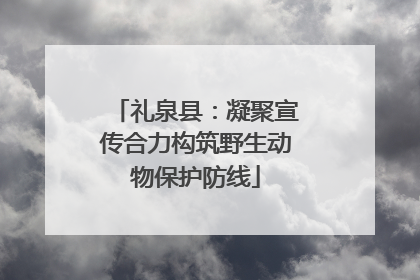 礼泉县：凝聚宣传合力构筑野生动物保护防线