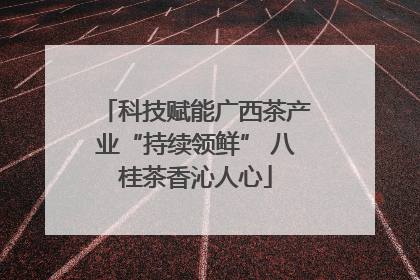 科技赋能广西茶产业“持续领鲜” 八桂茶香沁人心