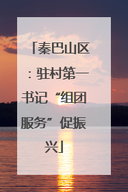 秦巴山区：驻村第一书记“组团服务”促振兴