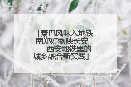 秦巴风味入地铁 南郑好物映长安——西安地铁里的城乡融合新实践