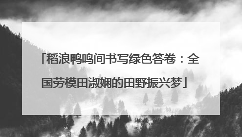 稻浪鸭鸣间书写绿色答卷：全国劳模田淑娴的田野振兴梦
