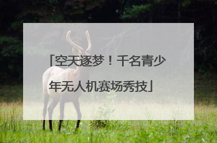 空天逐梦！千名青少年无人机赛场秀技