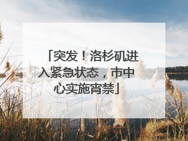 突发！洛杉矶进入紧急状态，市中心实施宵禁