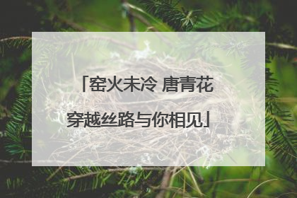窑火未冷 唐青花穿越丝路与你相见