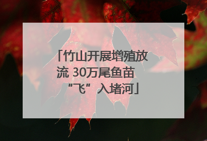 竹山开展增殖放流 30万尾鱼苗“飞”入堵河