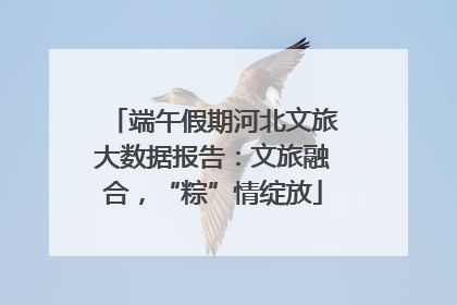 端午假期河北文旅大数据报告：文旅融合，“粽”情绽放