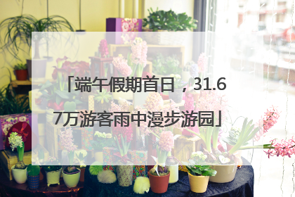 端午假期首日，31.67万游客雨中漫步游园