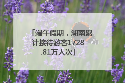 端午假期，湖南累计接待游客1728.81万人次