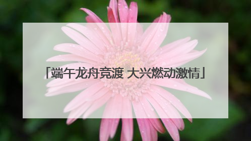 端午龙舟竞渡 大兴燃动激情