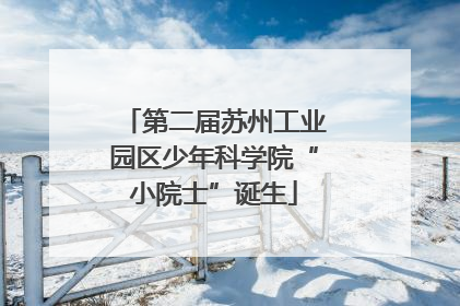 第二届苏州工业园区少年科学院“小院士”诞生