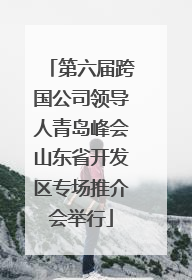 第六届跨国公司领导人青岛峰会山东省开发区专场推介会举行