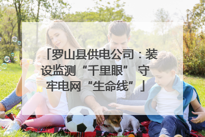 罗山县供电公司：装设监测“千里眼” 守牢电网“生命线”