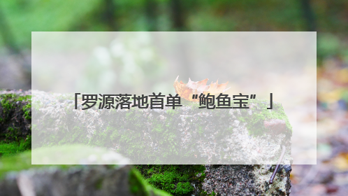 罗源落地首单“鲍鱼宝”