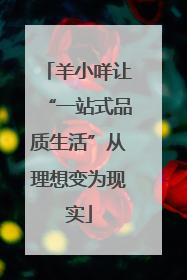 羊小咩让“一站式品质生活”从理想变为现实