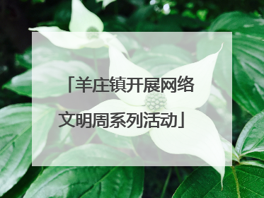 羊庄镇开展网络文明周系列活动
