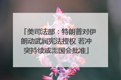 美司法部：特朗普对伊朗动武属宪法授权 若冲突持续或需国会批准