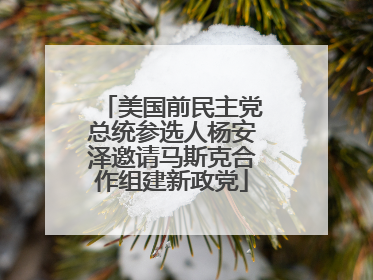 美国前民主党总统参选人杨安泽邀请马斯克合作组建新政党