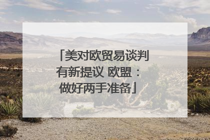 美对欧贸易谈判有新提议 欧盟：做好两手准备