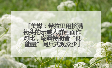 美媒：希拉里用挤满街头的示威人群画面作对比，嘲讽特朗普“低能量”阅兵式观众少