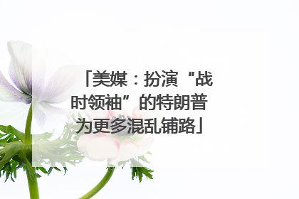 美媒：扮演“战时领袖”的特朗普为更多混乱铺路
