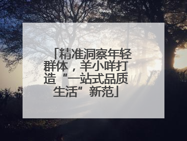 精准洞察年轻群体，羊小咩打造“一站式品质生活”新范