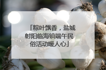 粽叶飘香，盐城射阳临海镇端午民俗活动暖人心