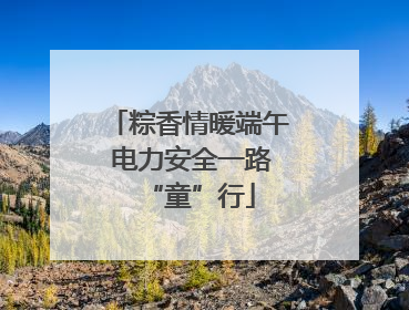 粽香情暖端午 电力安全一路“童”行