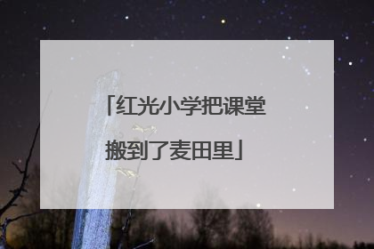 红光小学把课堂搬到了麦田里