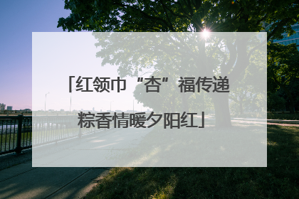 红领巾“杏”福传递 粽香情暖夕阳红
