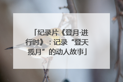 纪录片《登月·进行时》：记录“登天揽月”的动人故事