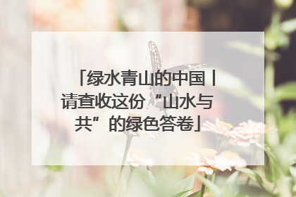 绿水青山的中国丨请查收这份“山水与共”的绿色答卷