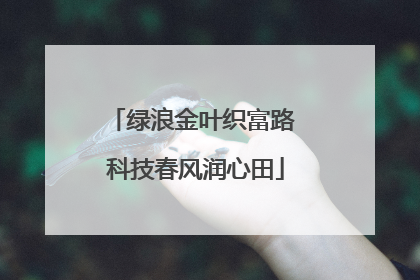 绿浪金叶织富路 科技春风润心田