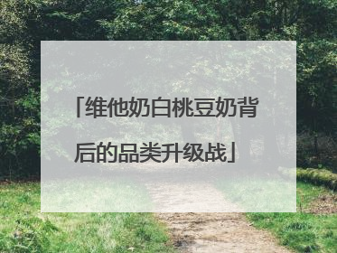 维他奶白桃豆奶背后的品类升级战