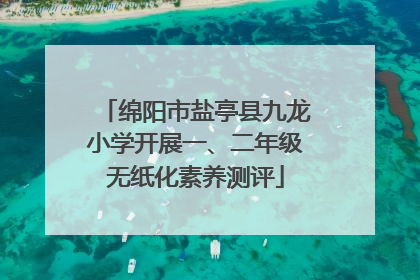 绵阳市盐亭县九龙小学开展一、二年级无纸化素养测评