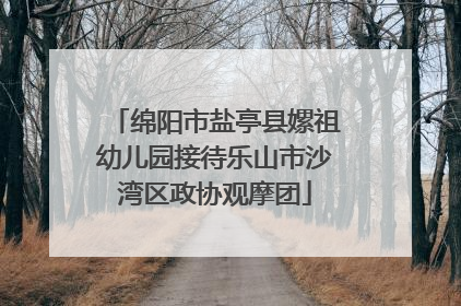 绵阳市盐亭县嫘祖幼儿园接待乐山市沙湾区政协观摩团