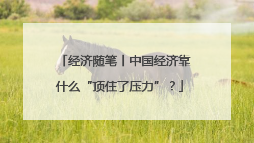 经济随笔丨中国经济靠什么“顶住了压力”？