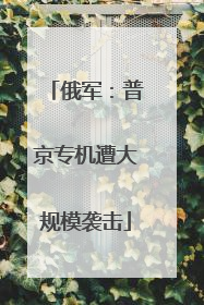 俄军：普京专机遭大规模袭击