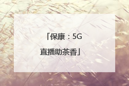 保康：5G直播助茶香