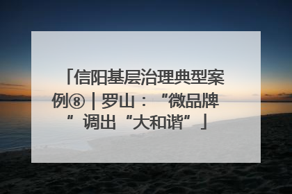 信阳基层治理典型案例⑧｜罗山：“微品牌”调出“大和谐”
