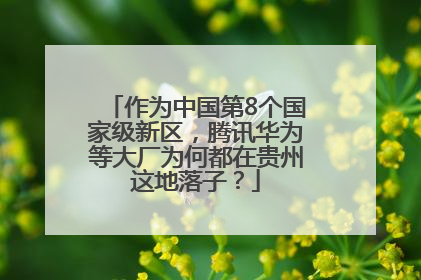 作为中国第8个国家级新区，腾讯华为等大厂为何都在贵州这地落子？