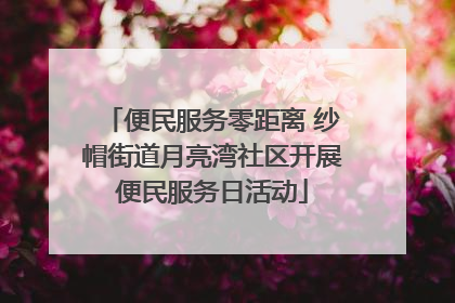 便民服务零距离 纱帽街道月亮湾社区开展便民服务日活动