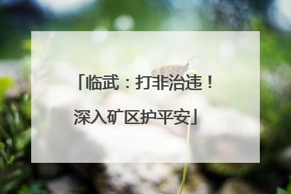 临武：打非治违！深入矿区护平安