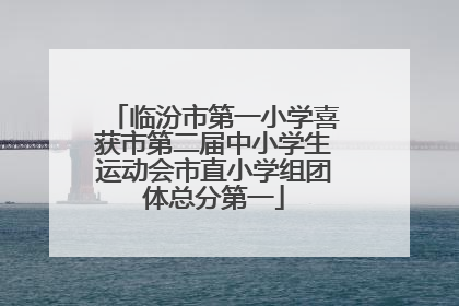 临汾市第一小学喜获市第二届中小学生运动会市直小学组团体总分第一