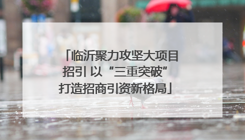 临沂聚力攻坚大项目招引 以“三重突破”打造招商引资新格局