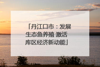 丹江口市：发展生态鱼养殖 激活库区经济新动能