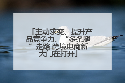主动求变、提升产品竞争力、“多条腿”走路 跨境电商新大门在打开